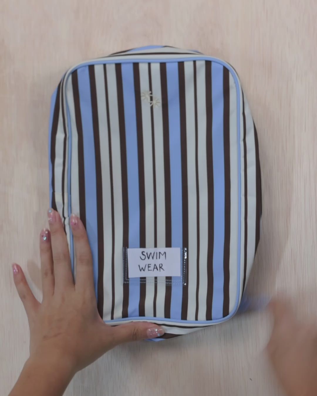 Mini Packing Cube (Stripes Wave)